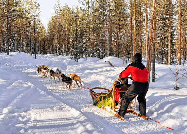 Voigt Lapland Reizen